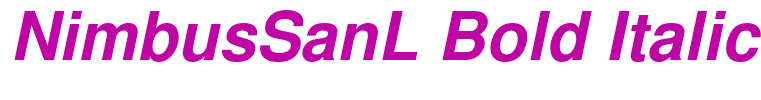 NimbusSanL Bold Italic